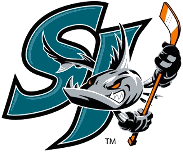 San Jose Barracuda 2018-Pres Primary Logo iron on heat transfer